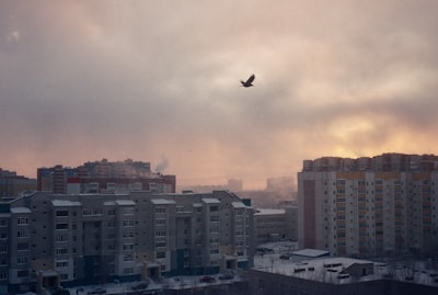 Սուրգուտ