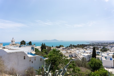 Թունիս